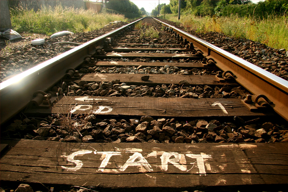 Bitcoin Trading Steps for Rookies