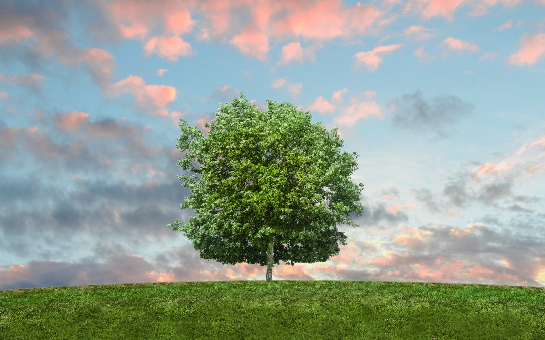Fact or Myth: Will Cryptocurrency Really Lead To Environmental Damage?