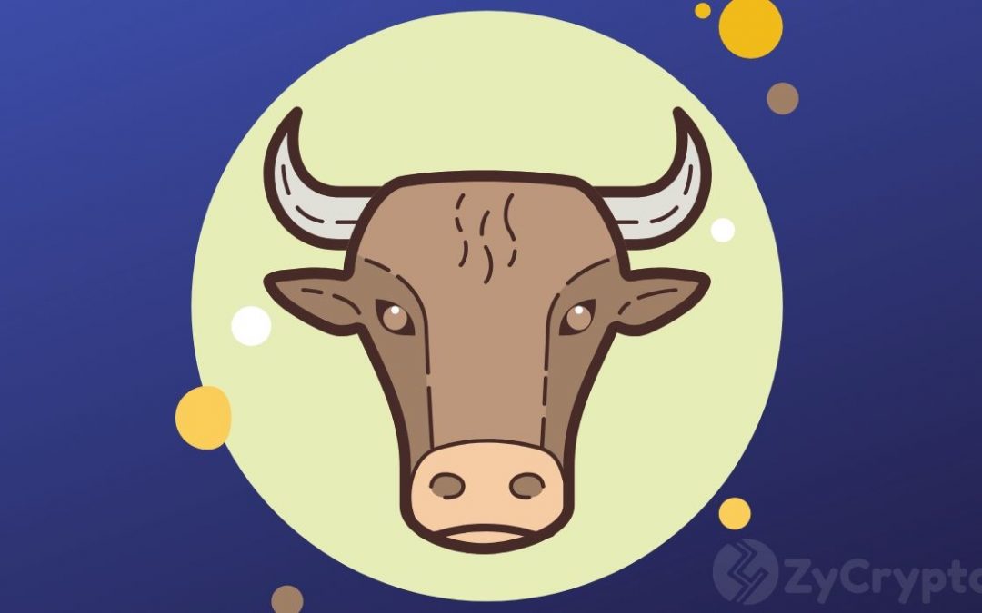 3 Reasons Why Bitcoin Price Is Ripe For A Mega 2020 Bull Market