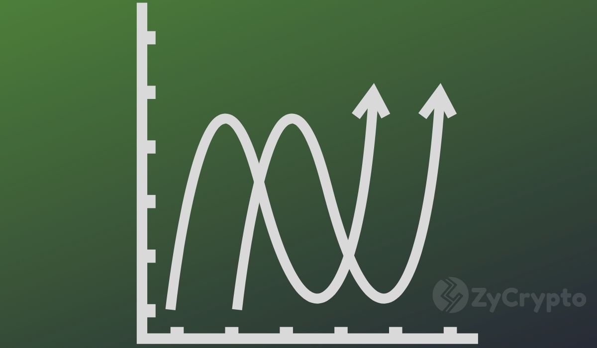 How Many Times Has The Crypto Market Crashed / How to handle a market downturn - The Money Savvy Blog : Each bear market is a confirmation that the market has cycles and that crypto isn't dying.