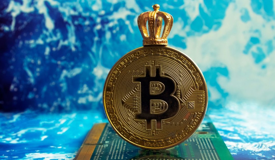 Bitcoin Crowned ‘Most Viewed Asset in the US’ Last Month, Along with Tesla Stock